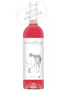 Caloian Merlot Rose 2015 | Crama Oprisor | Plaiurile Drancei